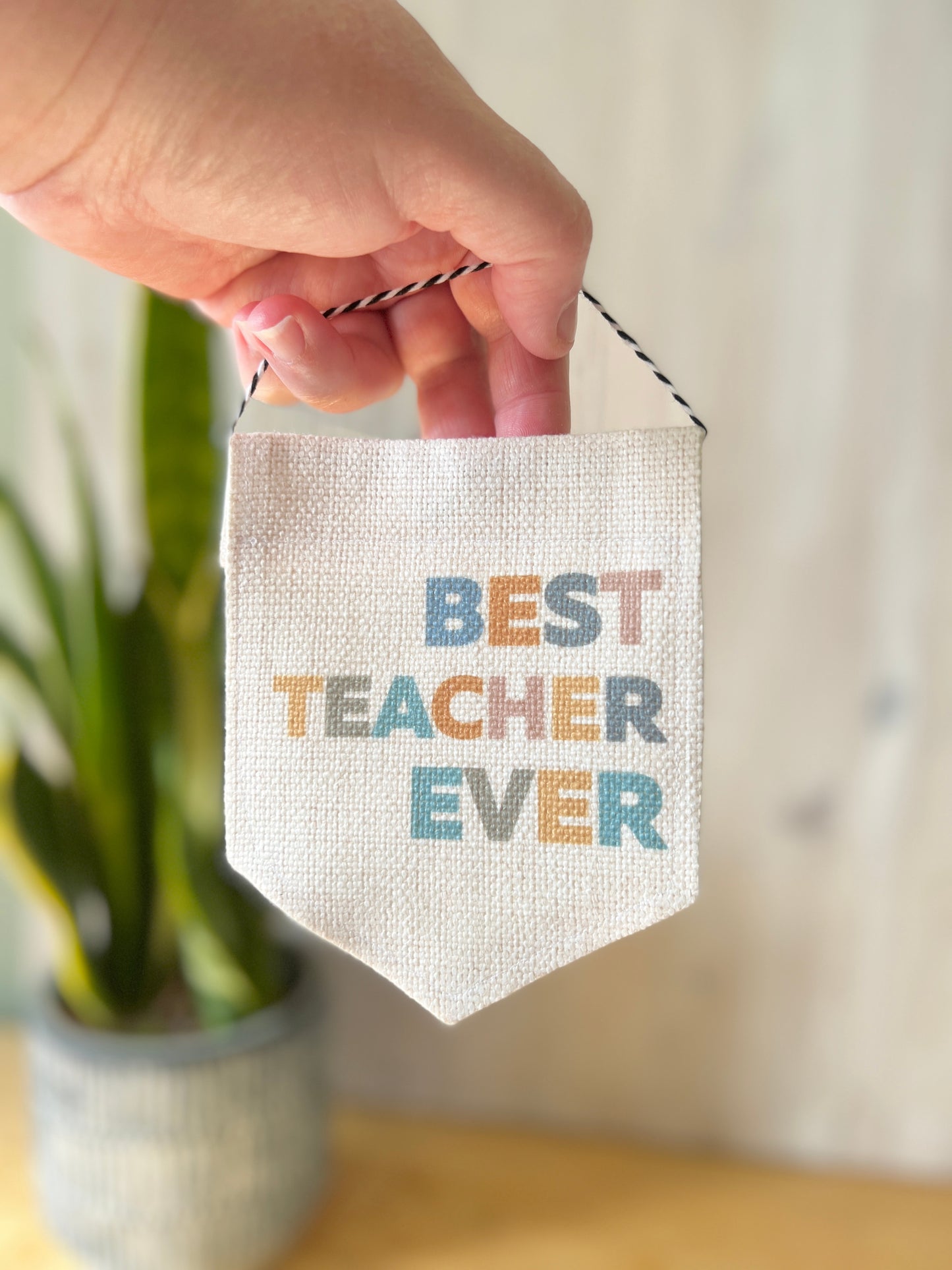 "Best Teacher Ever" Mini Flag