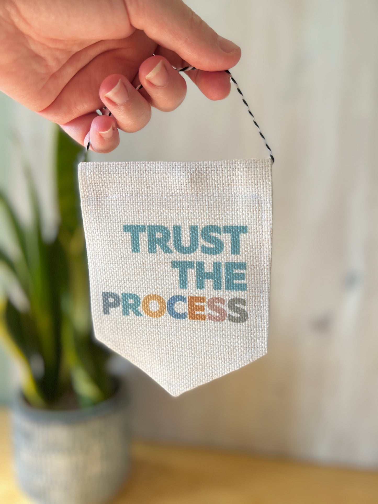 "Trust The Process" Mini Flag